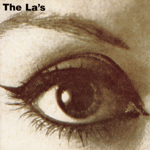 看片免费播放器
