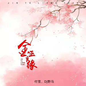 看片免费播放器
